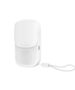 Original RECCI RSK-W27 TWS Wireless Speaker
