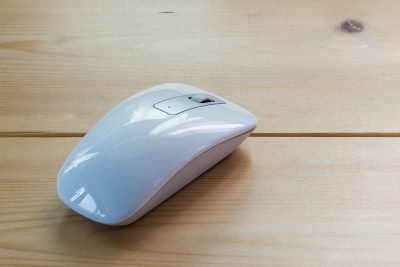 Mouse