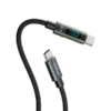 Oraimo DigiLine 100W OCD-175CC Type-C to Type-C Data Cable