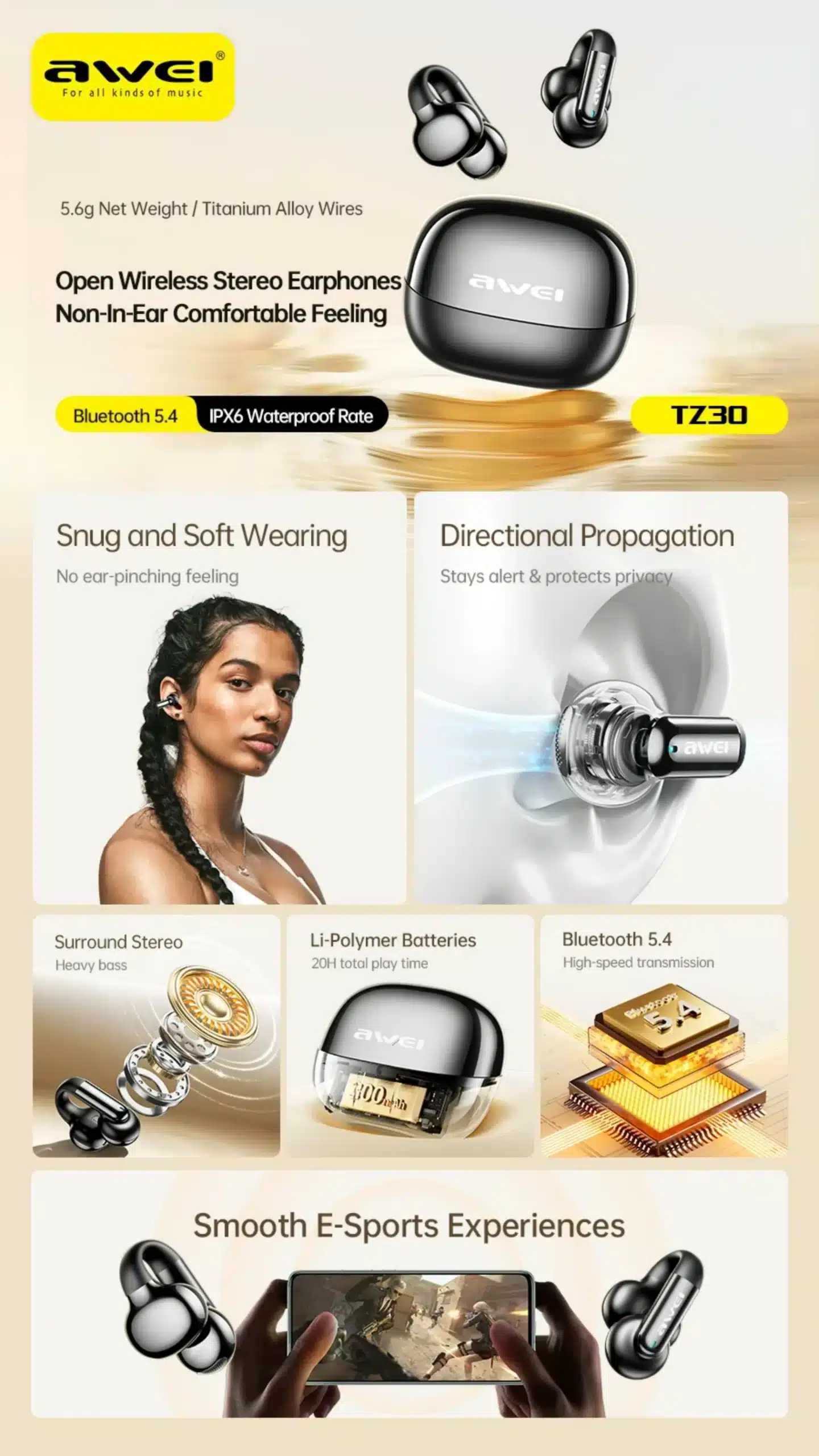 Awei TZ30 TWS Earbuds