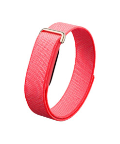 Google Fitbit Air
