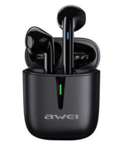 Surpass T21 TWS Wireless Earbuds